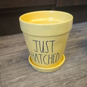 Rae Dunn Yellow 'Just Hatched' Planter